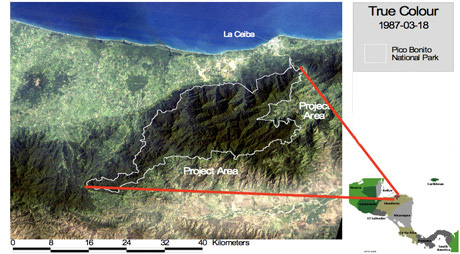 Map of Pico Bonito Project Area