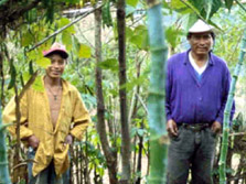 Two male workers in the forest